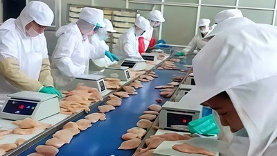 Автоматическая машина для посыпки мукой курицы для Sunner Group