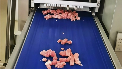 Линия нарезки бескостного мяса на кубики для Advanced Food Technology (Таиланд)