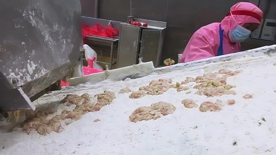 Машина для нарезки свежего мяса на полоски для заказчика из Коста-Рики